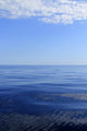 Blue Sea Horizon Ocean