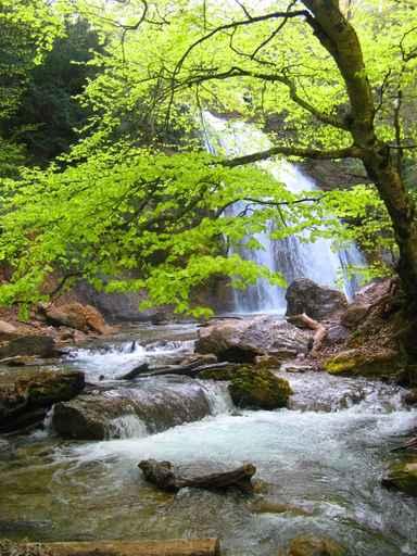 Waterfall Wall Decal Design 3
