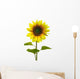 Yellow Sunflower on White Background Wall Decal