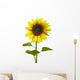 Yellow Sunflower on White Background Wall Decal