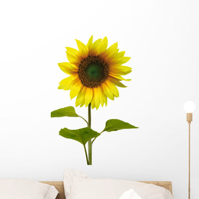Yellow Sunflower White Wall Decal shown on a wall