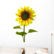 Yellow Sunflower on White Background Wall Decal