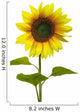 Yellow Sunflower on White Background Wall Decal