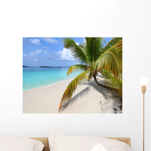 Solomon Beach on St John - US Virgin Islands Wall Mural