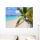 Solomon Beach on St John - US Virgin Islands Wall Mural