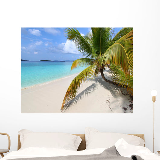 Solomon Beach on St John - US Virgin Islands Wall Mural