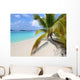 Solomon Beach on St John - US Virgin Islands Wall Mural