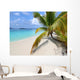 Solomon Beach on St John - US Virgin Islands Wall Mural