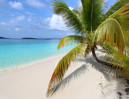 Solomon Beach on St John - US Virgin Islands Wall Mural