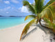 Solomon Beach on St John - US Virgin Islands Wall Mural
