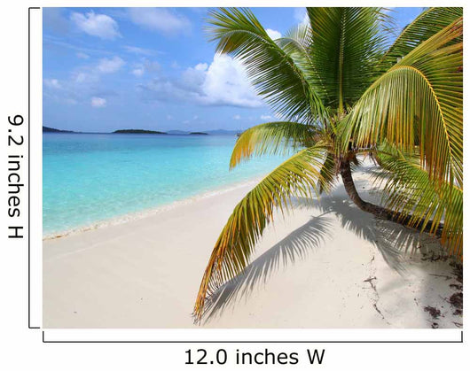 Solomon Beach on St John - US Virgin Islands Wall Mural