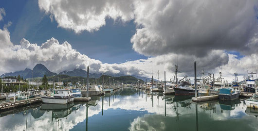 Scenic view of the Cordova small boat harbor Wall Mural
