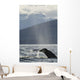 Humpback Whale Rises out Wall Decal