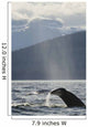 Humpback Whale Rises out Wall Decal