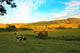 Beautiful Scottish Landscape with