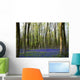 Bluebells in the woods Wall Mural