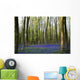 Bluebells in the woods Wall Mural