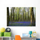 Bluebells in the woods Wall Mural