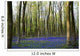 Bluebells in the woods Wall Mural