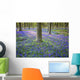 Bluebells in the woods Wall Mural