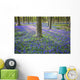 Bluebells in the woods Wall Mural
