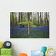 Bluebells in the woods Wall Mural