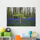 Bluebells in the woods Wall Mural