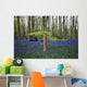 Bluebells in the woods Wall Mural