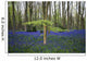 Bluebells in the woods Wall Mural