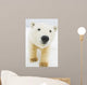 Polar bear Wall Mural