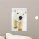 Polar bear Wall Mural