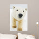 Polar bear Wall Mural