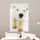 Polar bear Wall Mural