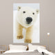 Polar bear Wall Mural