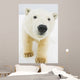 Polar bear Wall Mural