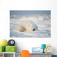 Polar bear Wall Mural