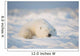Polar bear Wall Mural