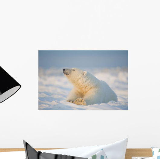 Polar bear Wall Mural