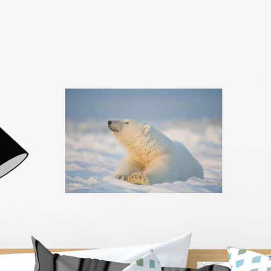 Polar bear Wall Mural