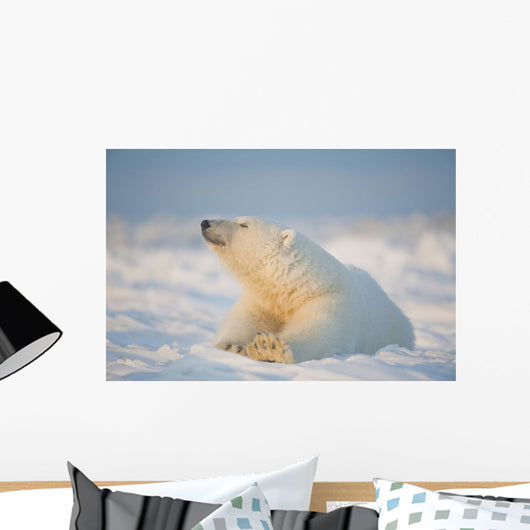 Polar bear Wall Mural