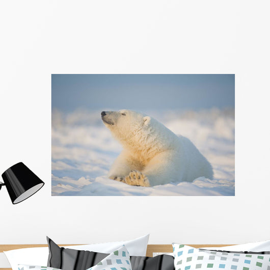 Polar bear Wall Mural