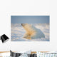 Polar bear Wall Mural