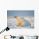Polar bear Wall Mural