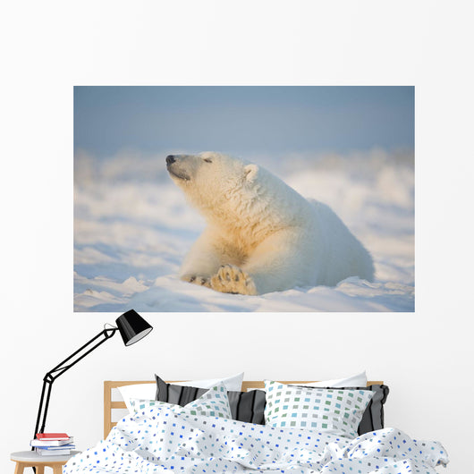 Polar bear Wall Mural