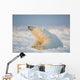 Polar bear Wall Mural