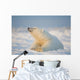 Polar bear Wall Mural