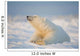 Polar bear Wall Mural