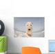 Polar bear Wall Mural