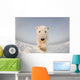 Polar bear Wall Mural