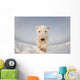 Polar bear Wall Mural